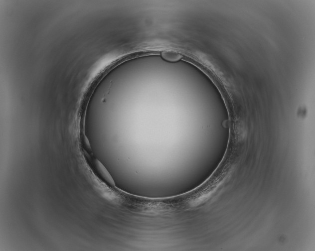 X0000097761416200803281623