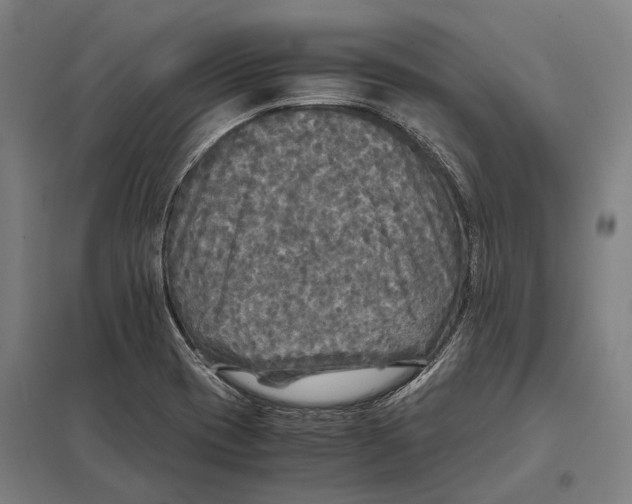 X0000097761417200803281623