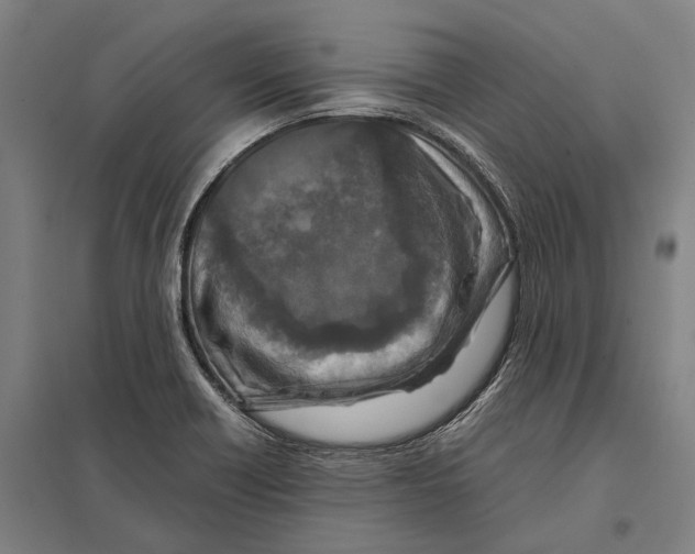 X0000097761418200803281623