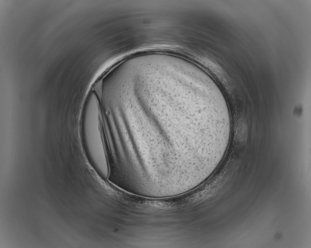 X0000097761420200803281623