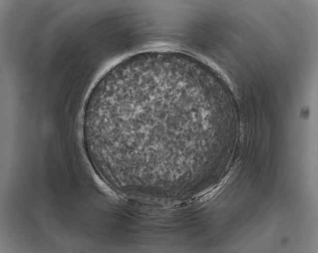 X0000097761421200803281623