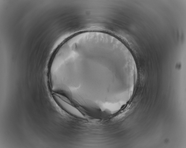 X0000097761422200803281623