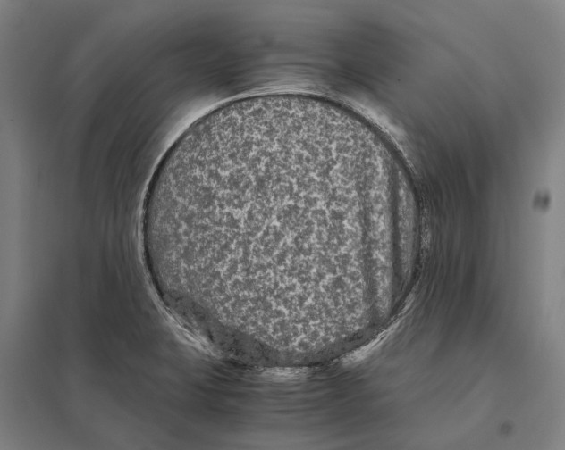 X0000097761423200803281623