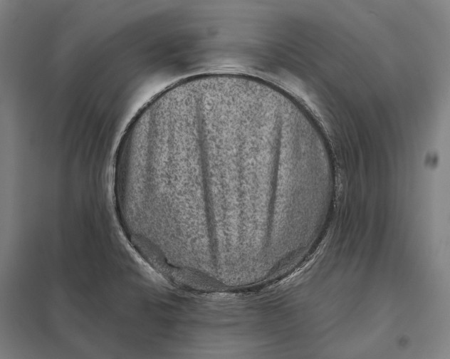 X0000097761424200803281623