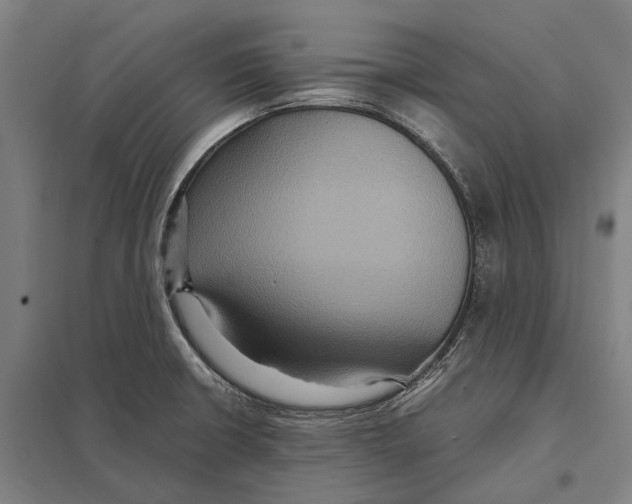 X0000097761426200803281623