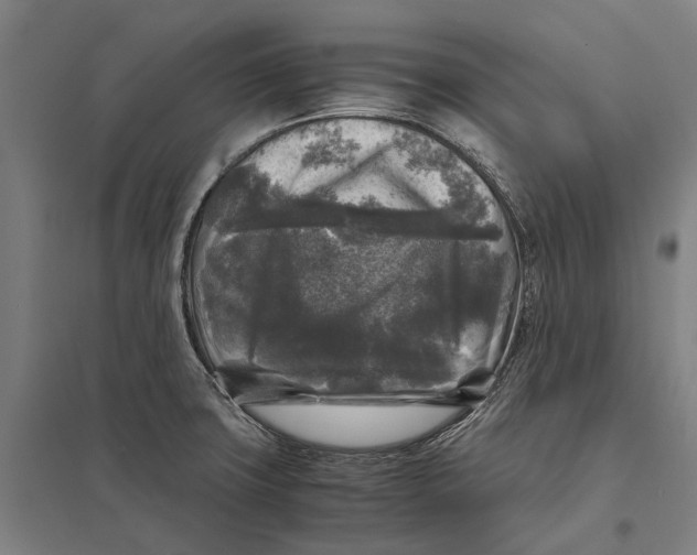 X0000097761427200803281623