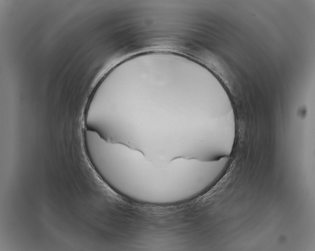 X0000097761428200803281623