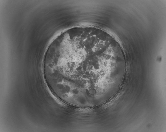 X0000097761429200803281623