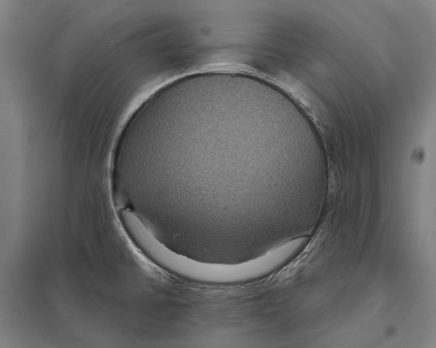 X0000097761430200803281623