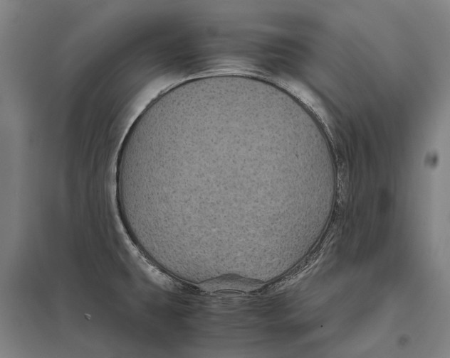 X0000097761431200803281623