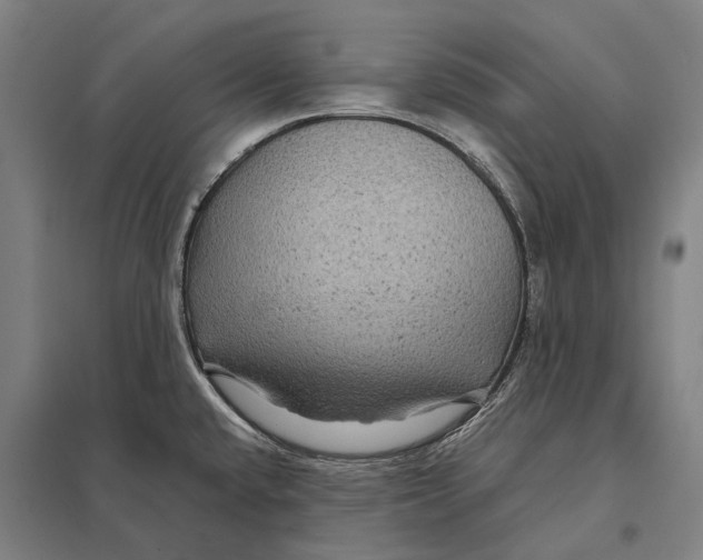 X0000097761432200803281623