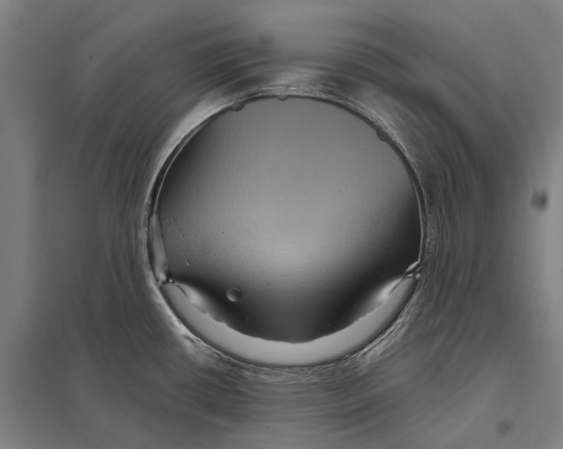 X0000097761434200803281623