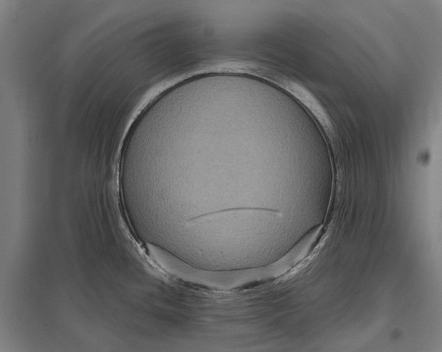 X0000097761436200803281623