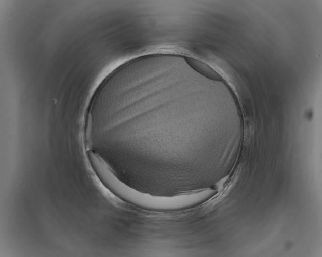 X0000097761438200803281623