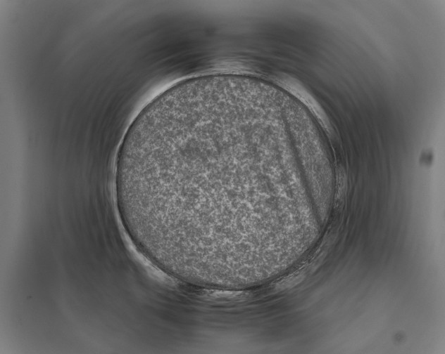 X0000097761439200803281623