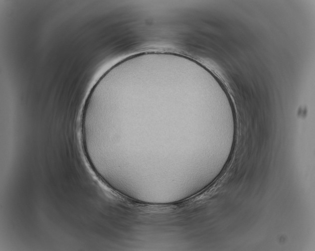 X0000097761440200803281623