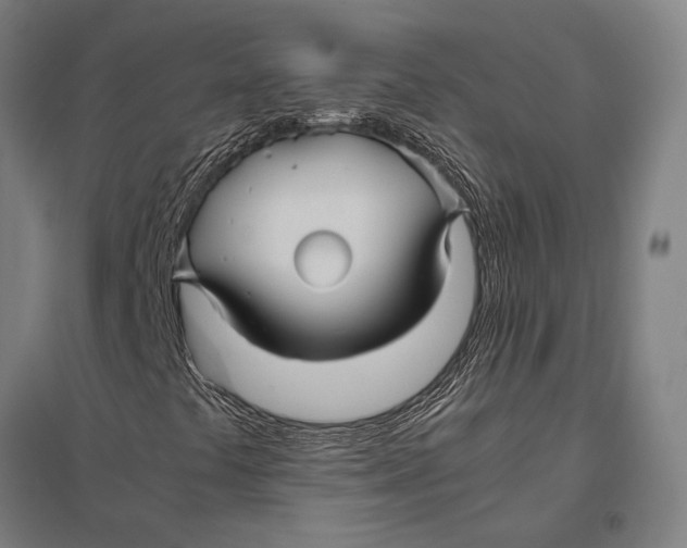 X0000097761441200803281623