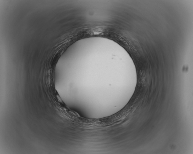 X0000097761442200803281623