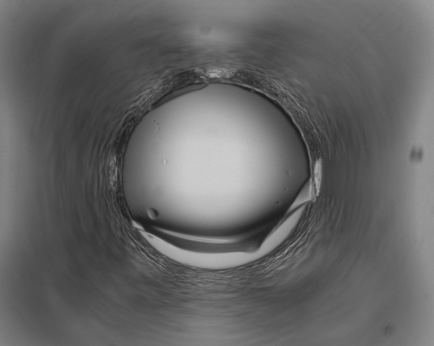 X0000097761443200803281623