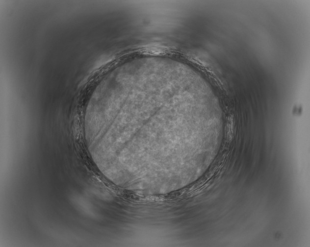 X0000097761446200803281623