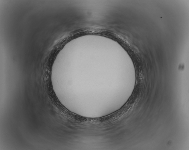 X0000097761447200803281623