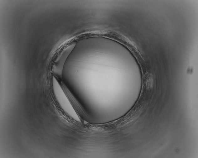 X0000097761448200803281623