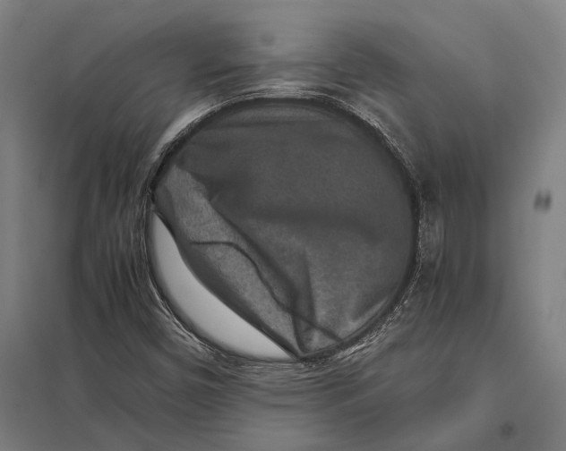 X0000097761450200803281623