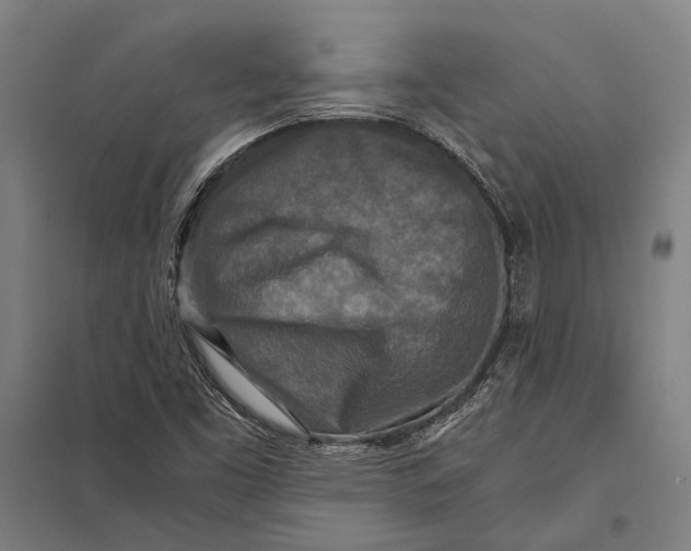 X0000097761453200803281623