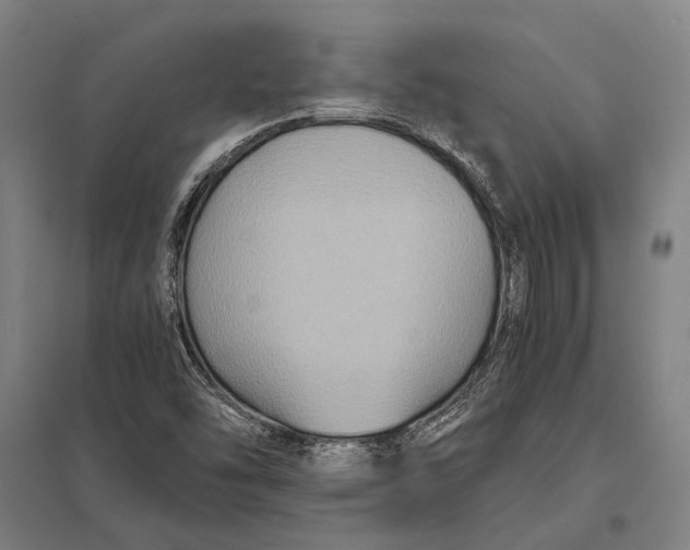 X0000097761454200803281622