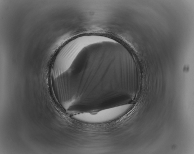 X0000097761455200803281622