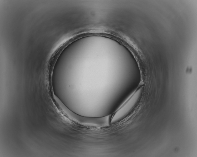 X0000097761456200803281622