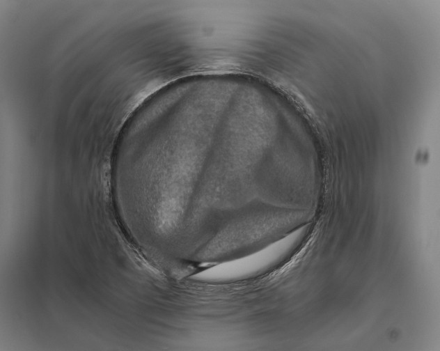 X0000097761457200803281622