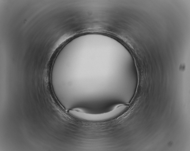 X0000097761458200803281622