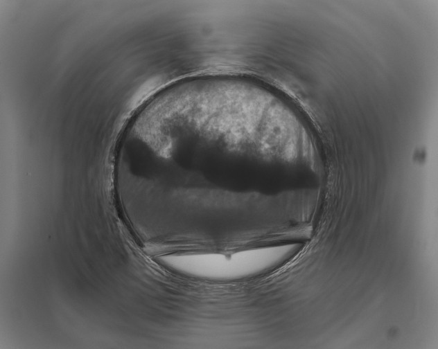 X0000097761459200803281622