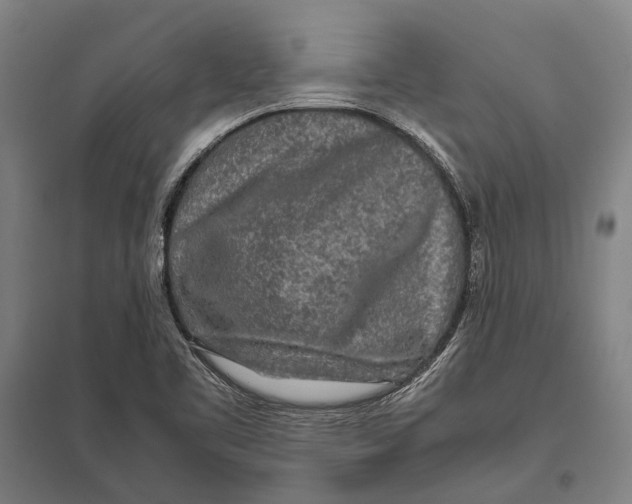 X0000097761461200803281622