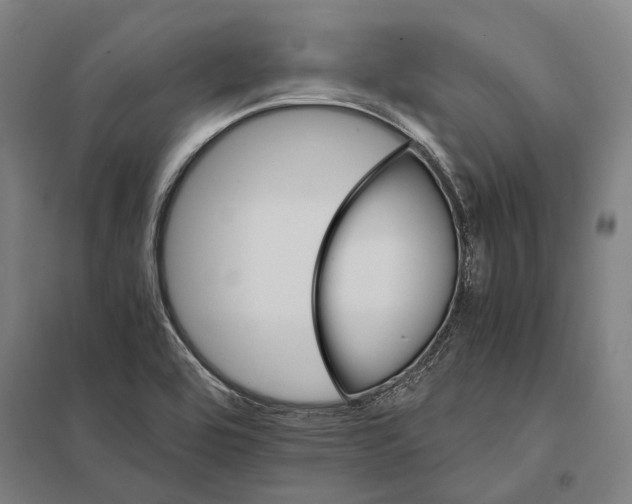 X0000097761464200803281622