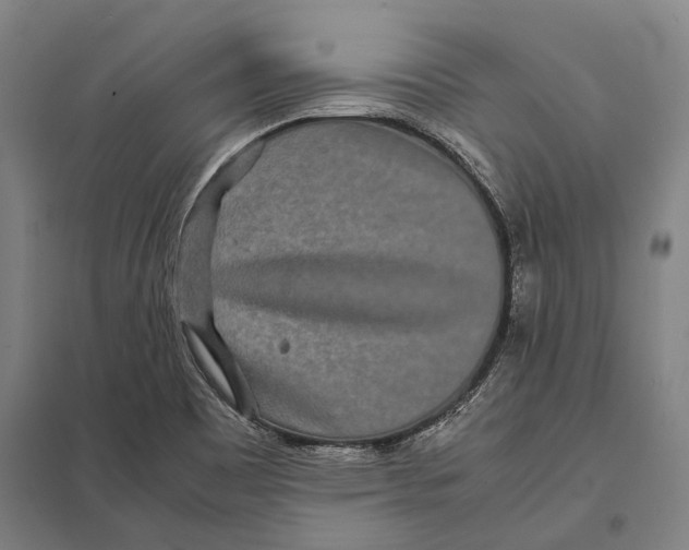 X0000097761465200803281622