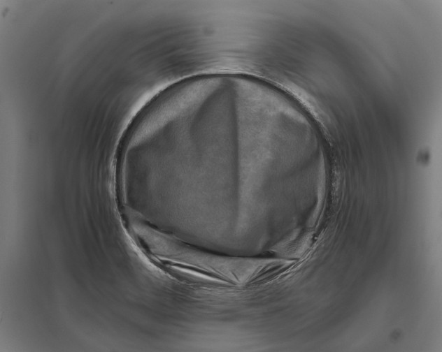 X0000097761468200803281622