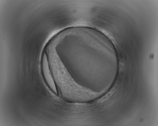 X0000097761469200803281622