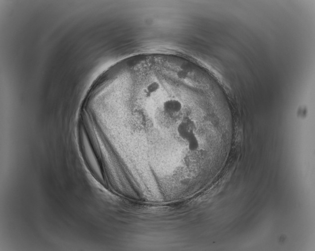 X0000097761471200803281622