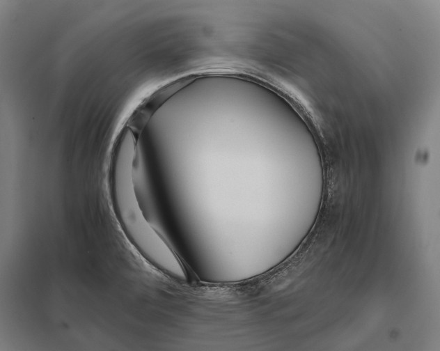 X0000097761472200803281622