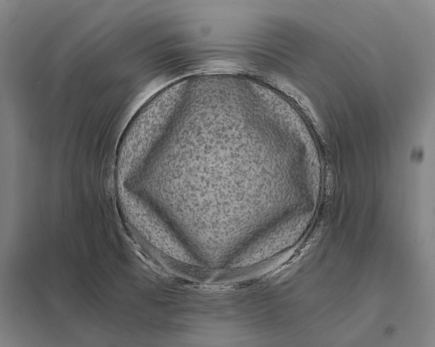 X0000097761473200803281622