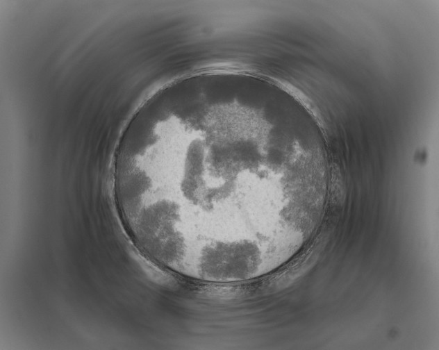 X0000097761474200803281622