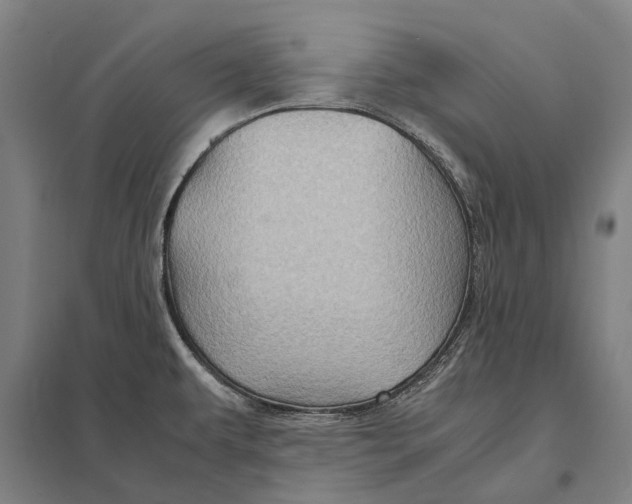 X0000097761479200803281622