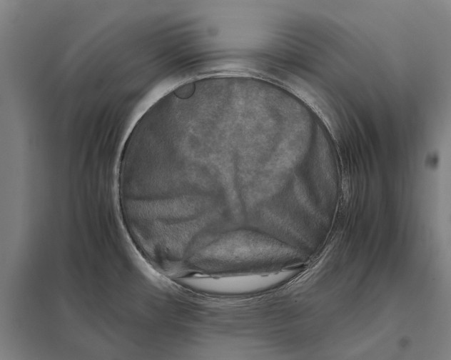 X0000097761482200803281622