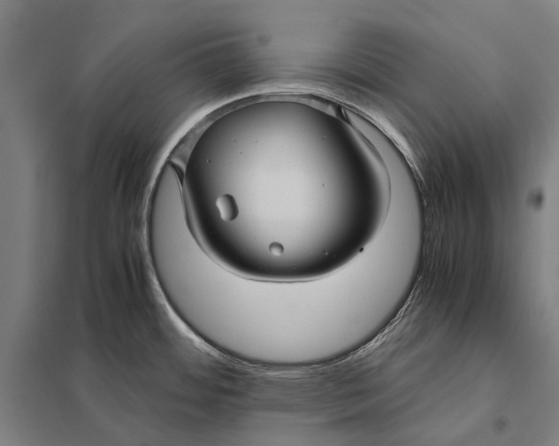 X0000097761484200803281622