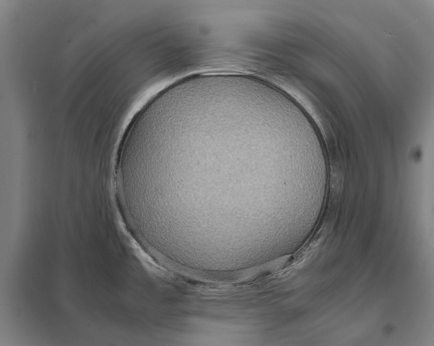 X0000097761485200803281622