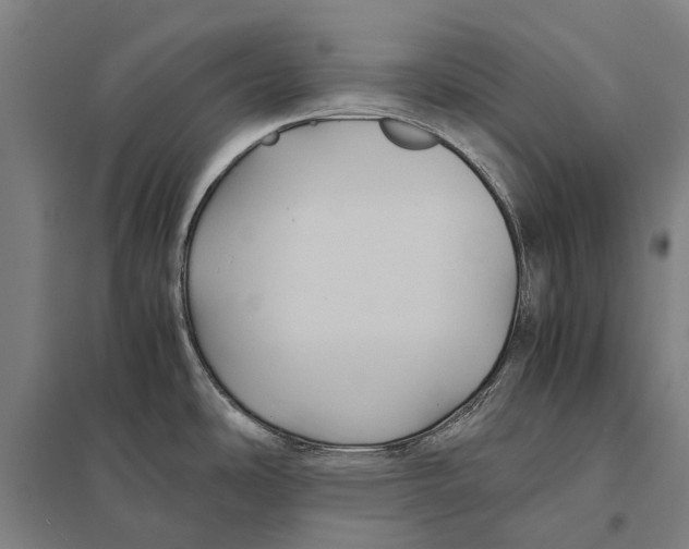 X0000097761486200803281622