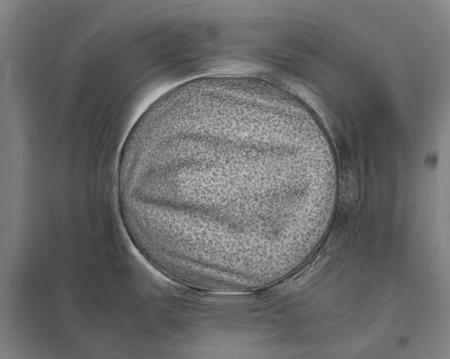 X0000097761487200803281622