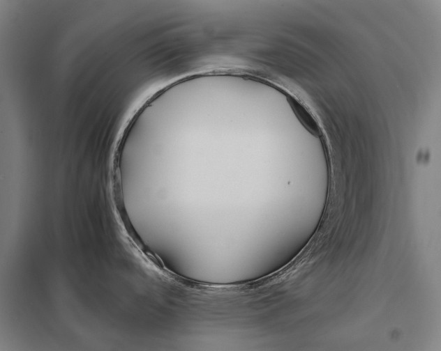 X0000097761488200803281622